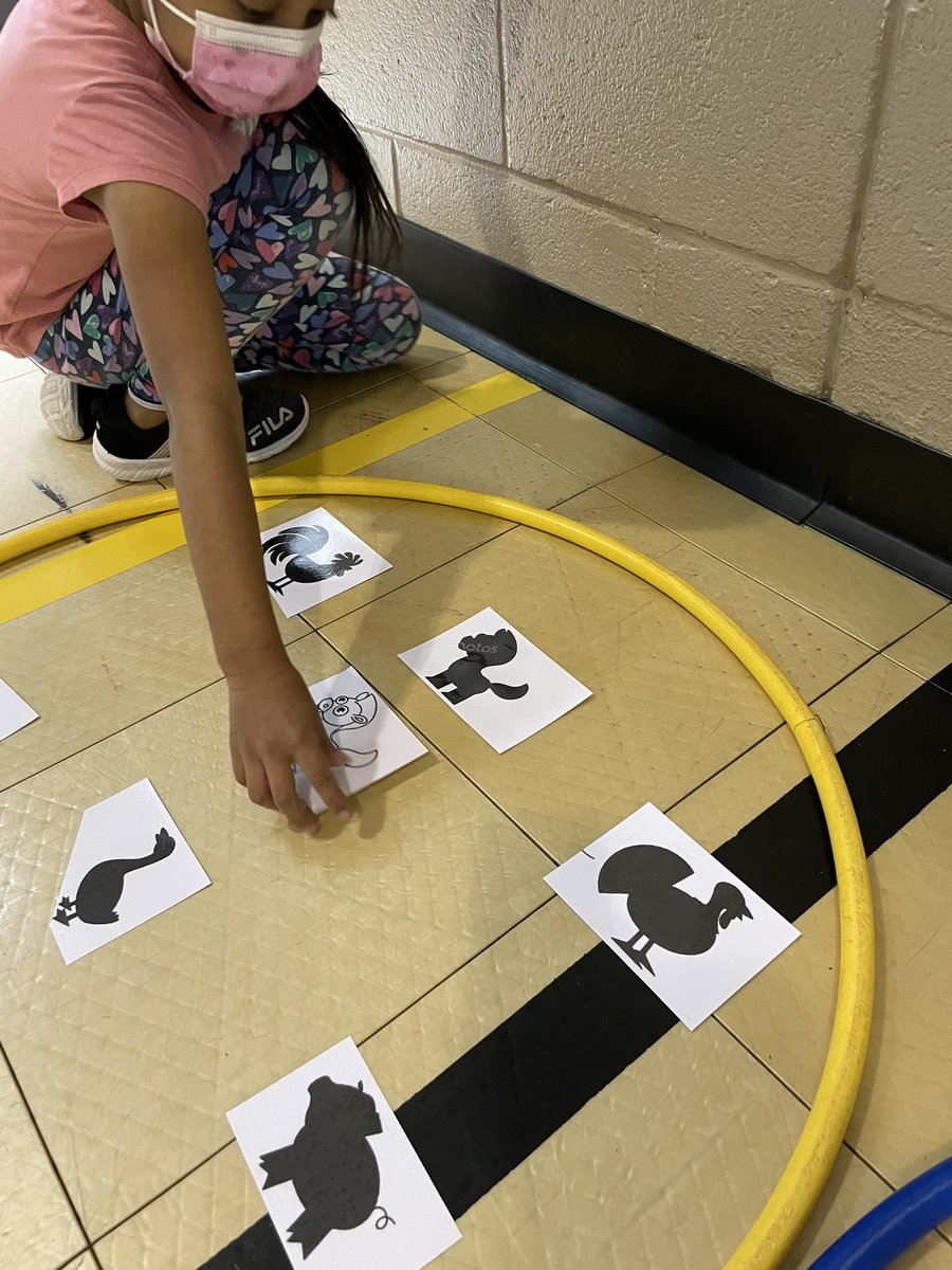 MabletonPE's tweet photo. 1st grade students @MabletonES working on searching for animals and pairing them with their shadows while getting in a great cardio workout! @cobbhpe @STEMcobb @CobbSchools @TeamGrizzle2006 #Science https://t.co/ogVYgiU0qn