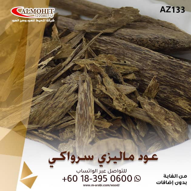 Nora Salem (NoraSs04) Twitter