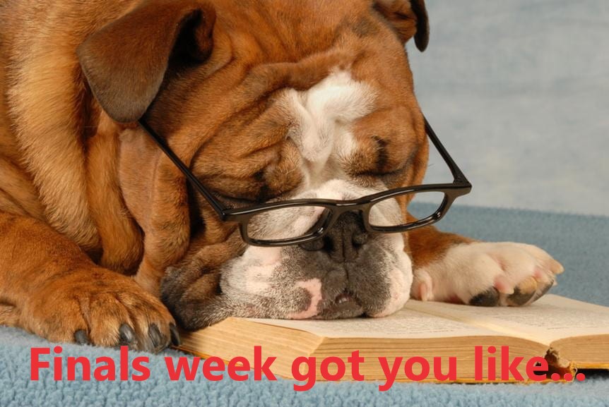 Finals week! Good Luck to all our Bulldogs!! #Fresnostate #FresnoStateMath #finalsweek