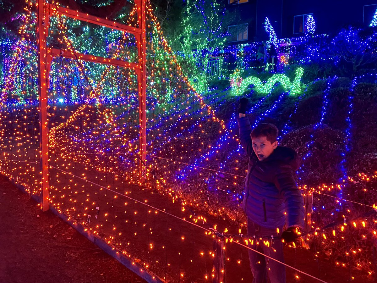 Never Bored Family tweet media