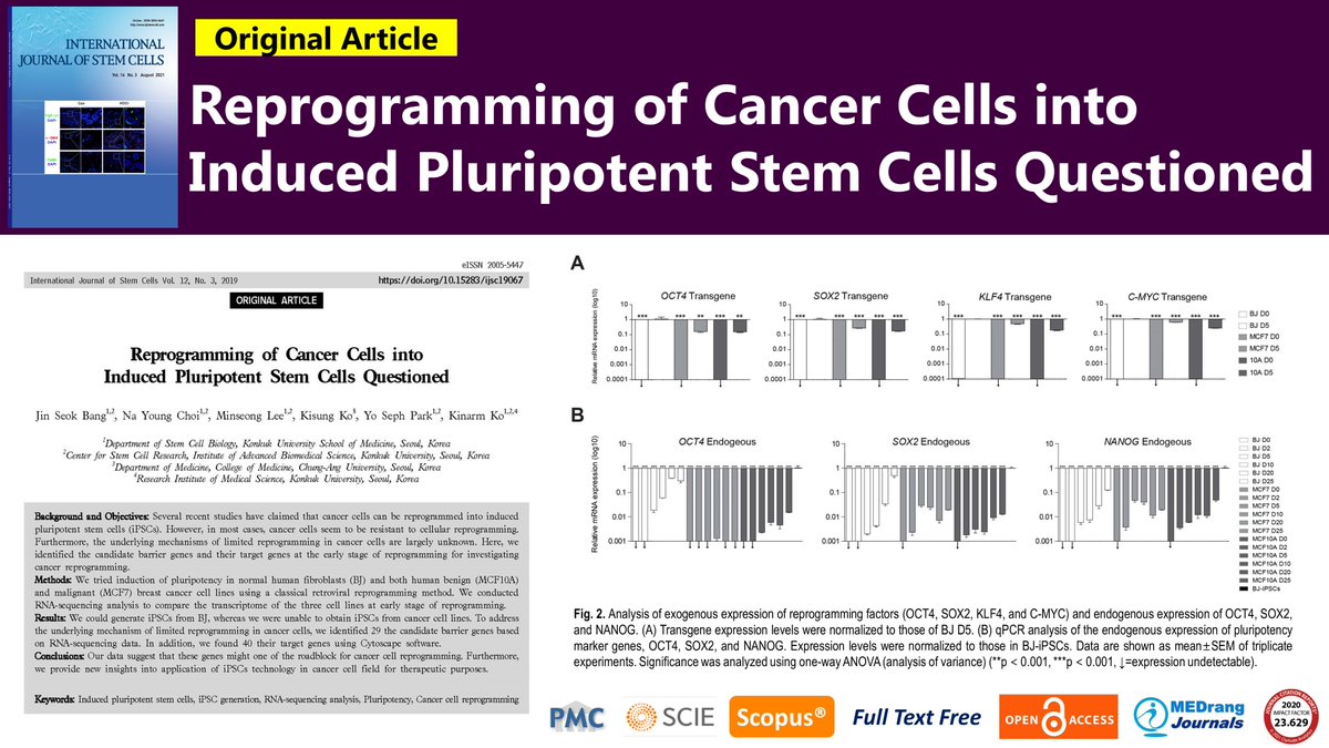 IntJStemCells's tweet photo. Reprogramming of Cancer Cells into Induced Pluripotent Stem Cells Questioned
Open Access π https://t.co/Swm0vyWWMO
Intβl J of Stem Cells 2019;12, Kinarm Ko
#Induced_pluripotent_stem_cells #iPSC_generation #RNA_sequencing_analysis #Pluripotency #Cancer_cell_reprogramming https://t.co/pKz3R5fmei