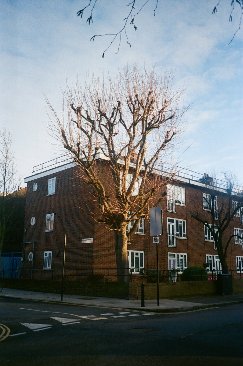 Basking in the winter sun. London, 2021. #35mm #portra400