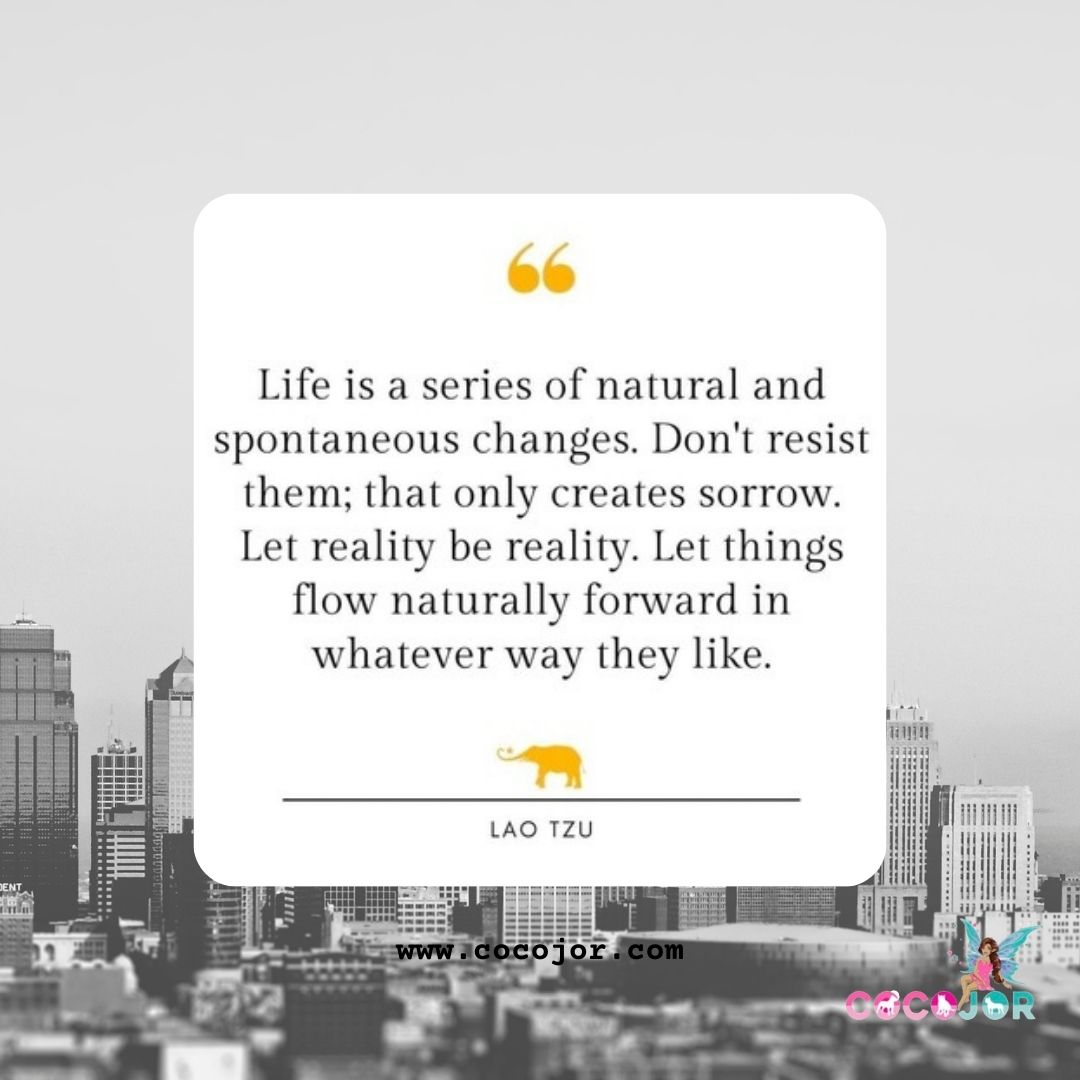 Cocojor's tweet image. Always live in the moment and let everything flow naturally. #quotes #quoteoftheday #cocojor #hawaii
👉cocojor.com
