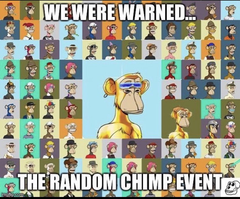 This wasn’t the random chimp event I wanted. 