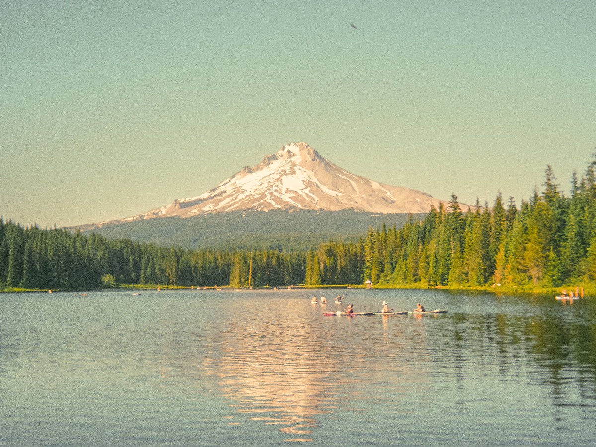 inthemeadow's tweet photo. peace in nature https://t.co/2MtGoKeIWk