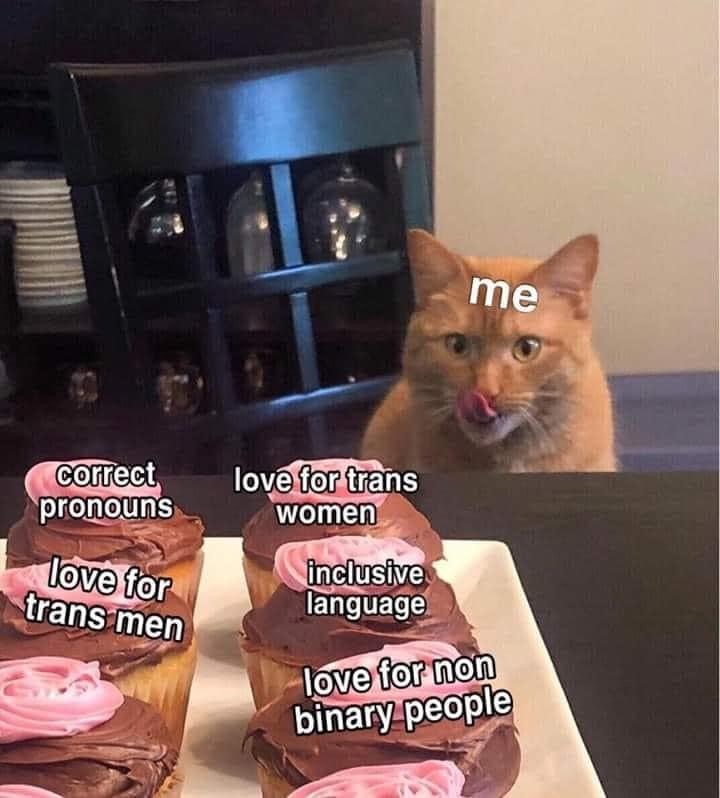 WholesomeMemes (@wholesomememe) on Twitter photo 