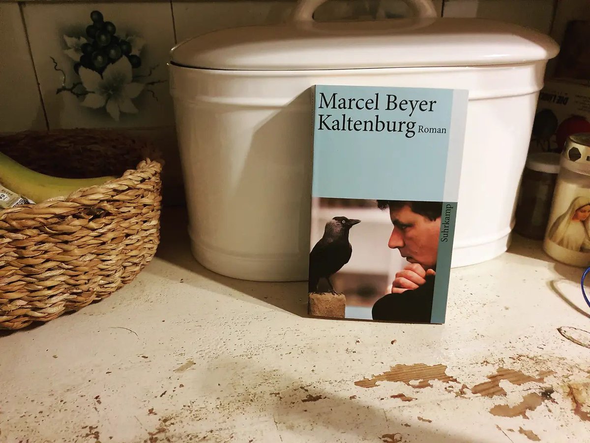 torsten_hesse's tweet photo. "Vor dem Hintergrund von einem halben Jahrhundert DDR- Geschichte erzählt #MarcelBeyer in seinem hochgelobten #Roman meisterlich von menschlichen Lebensläufen." (#Suhrkamp)
Mehr: https://t.co/tiEsZWYtQu
#leseherbst #DDR #gesellschaft #Menschen #dresden #lesen #leselust #leseratte https://t.co/njF7flgkpk