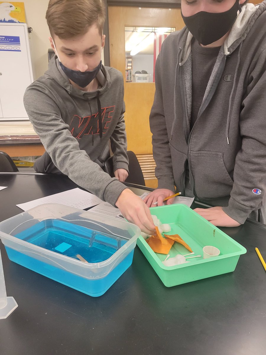 ScigsScience's tweet photo. 3 subjects...3 labs.... 1 busy day in BHS science...bubble survivorship, urinalysis, oil spill remediation #wearebethpage @CpollatosBUFSD https://t.co/UmRdqMZLDB