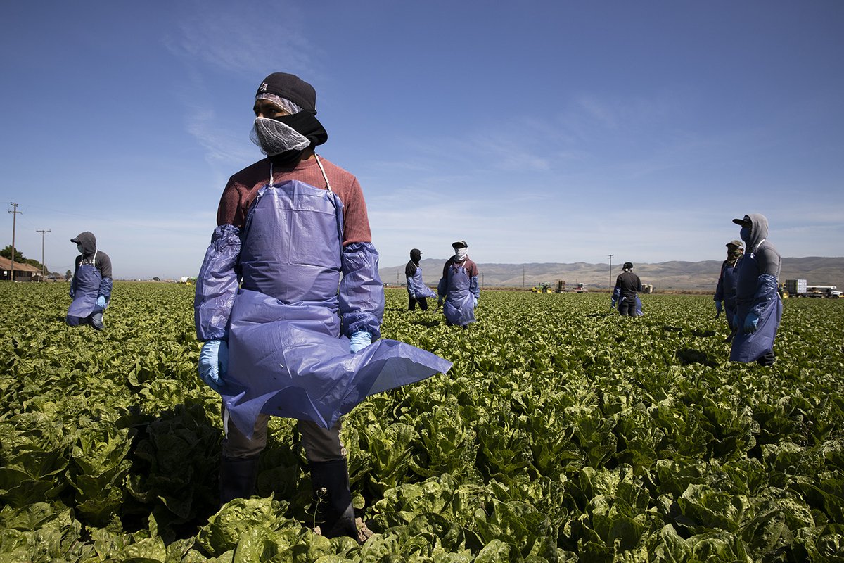Modern-Day Slavery Operation Uncovered, Thousands of Migrants Exploited in South Georgia #WorkersRights #ImmigrationRights #UndocumentedWorkers latinovations.com/2021/12/08/mod…