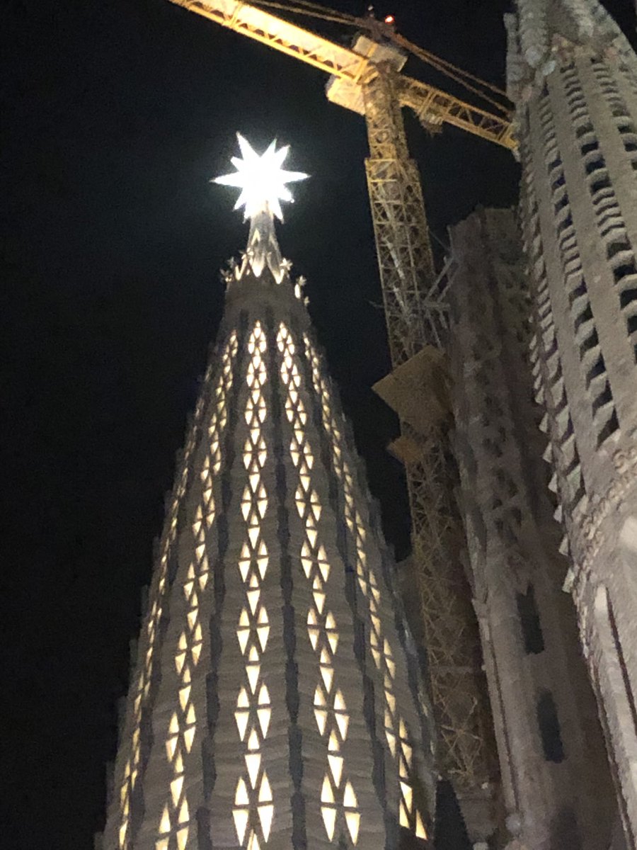 Esme Fox tweet media