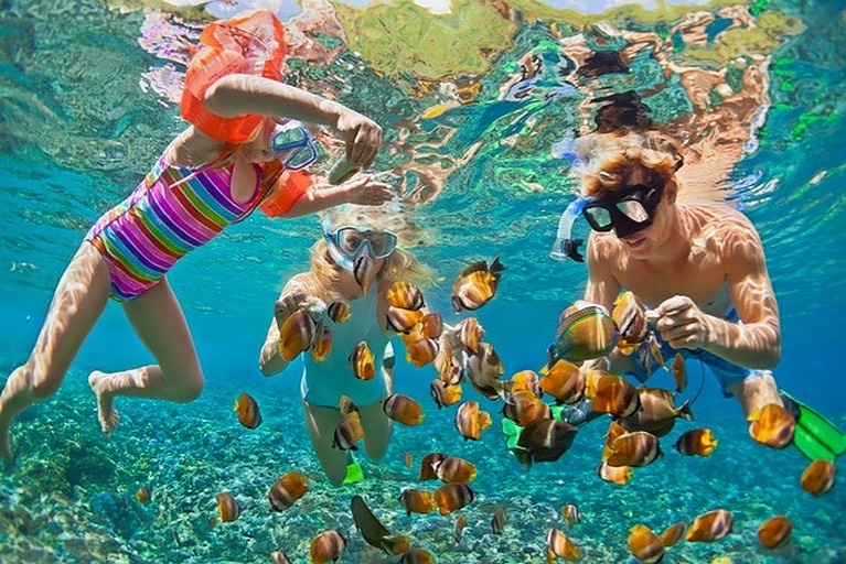 pure_cabo's tweet photo. Fun in #cabo #purecabo #caboadventures #cabolife #cabofun #caboscubadiving #familyfun #familyadventures https://t.co/Bonlf7GraS