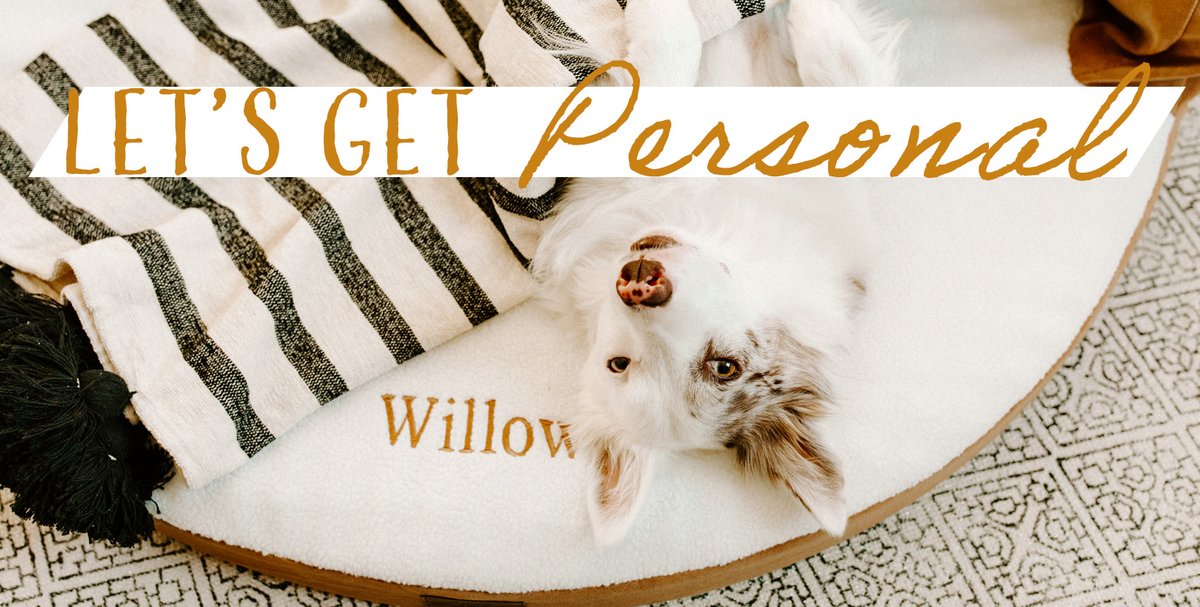 carolinapetco's tweet photo. #DYK  many of our most popular #dogbeds can be #personalized with your pet’s name? THEY CAN!!!
You tell us the name &amp; we embroider it onto the bed in a complimentary thread color! 

Ready to get personal? Let's start by picking your bed 👉 https://t.co/UY6FFCg2cP https://t.co/V7kCFnLqW4