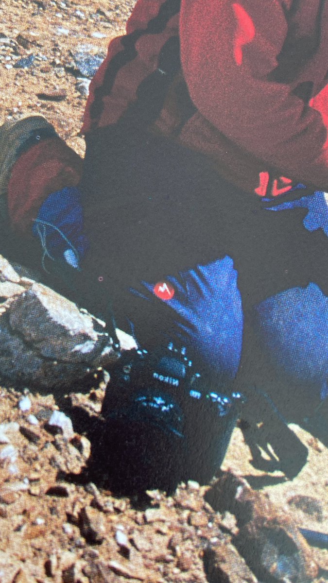 Brian D. Kim tweet media