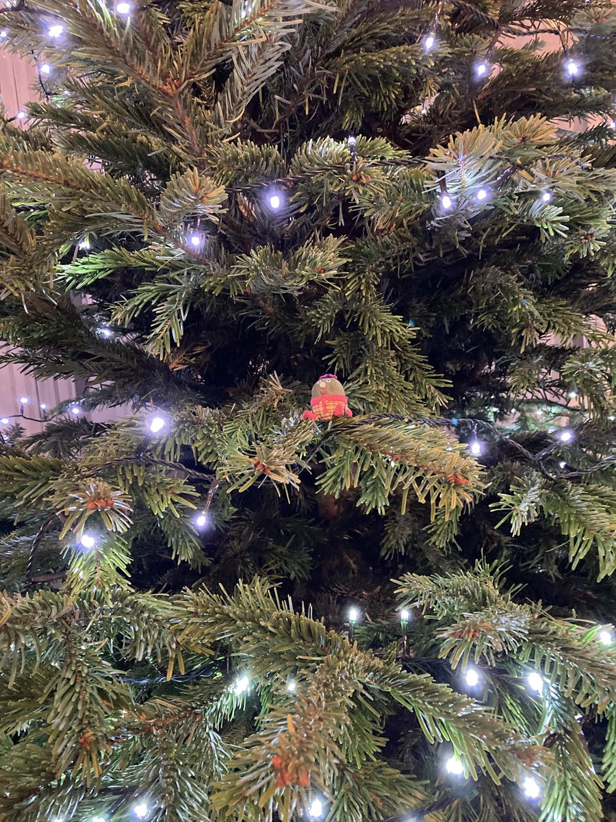 Humpty is loving getting ready for Christmas ❤️ #Playschool Toys