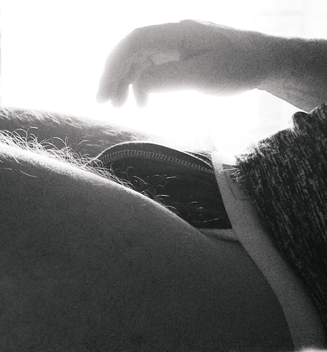 250884's tweet photo. Good night...

#gay #gaymen #bulge #tantra #tantragay #daddygay https://t.co/V0DJm0p9Am