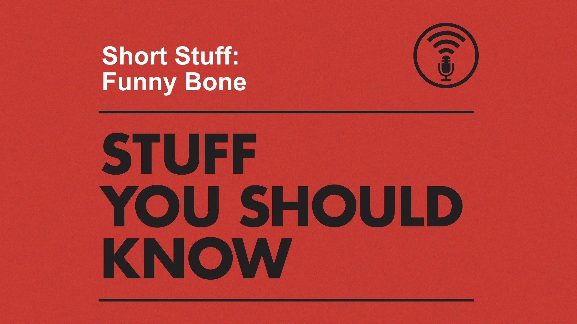 Stuff You Should Know on Twitter: Stuff You Should Know on Twitter: