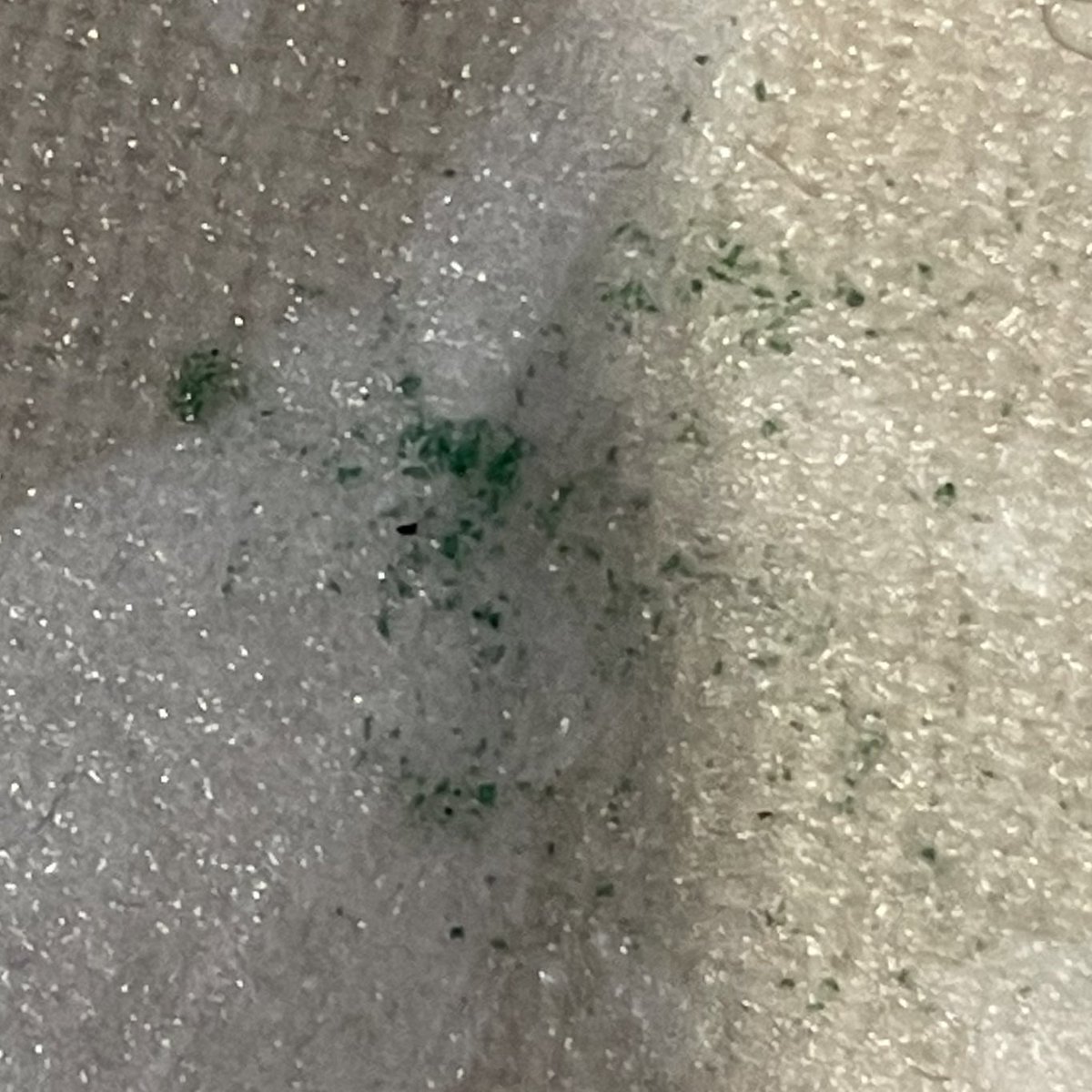 DrJoScience's tweet image. Investigating #microplastics with #year4 today #EnvironmentalChanges #LivingThingsAndTheirHabitats #PlasticPollution