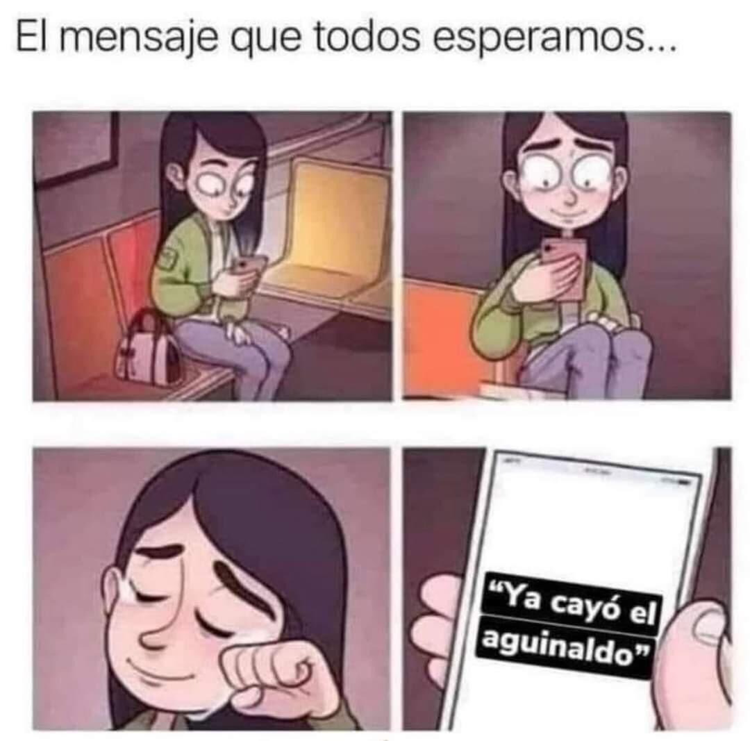 Memes por el adelanto del Aguinaldo FOTO: Facebook