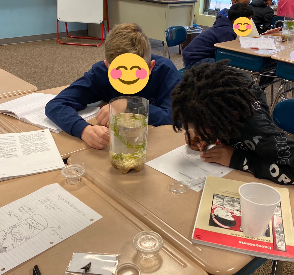 It's aquarium day! These scientists are observing their fish and snails and recording info in their science notebooks. <a href="/TurnerCreekES/">Turner Creek Elementary</a>