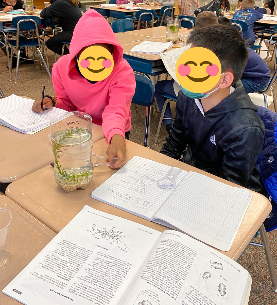 MsErinPhillips's tweet photo. It's aquarium day! These scientists are observing their fish and snails and recording info in their science notebooks. @TurnerCreekES https://t.co/14TUQDcBsF