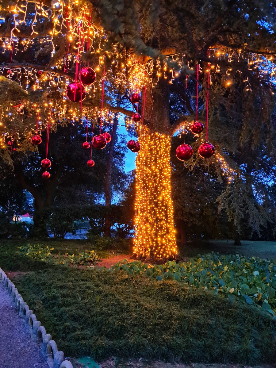 Croatia_hr's tweet photo. Opatija, Croatia’s famous coastal resort, this year once again offers unique festive decorations and experiences to remember. In addition to the town’s enchanting atmosphere, visitors can look forward to many surprises...
Croatia Winter Wonderland https://t.co/pyNWeejWaK