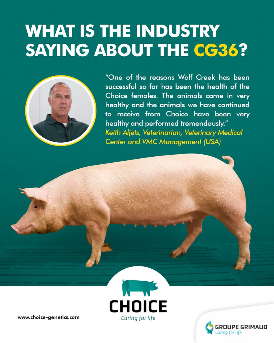 ChoiceGenetics's tweet photo. Have you heard? 👇🏻 https://t.co/ETRCdJe8wy