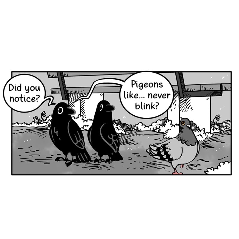 This is a joke between @mishacak3s and me that started because I drew this Crow Time episode and they followed suit by doodling an accurate pigeon angel.