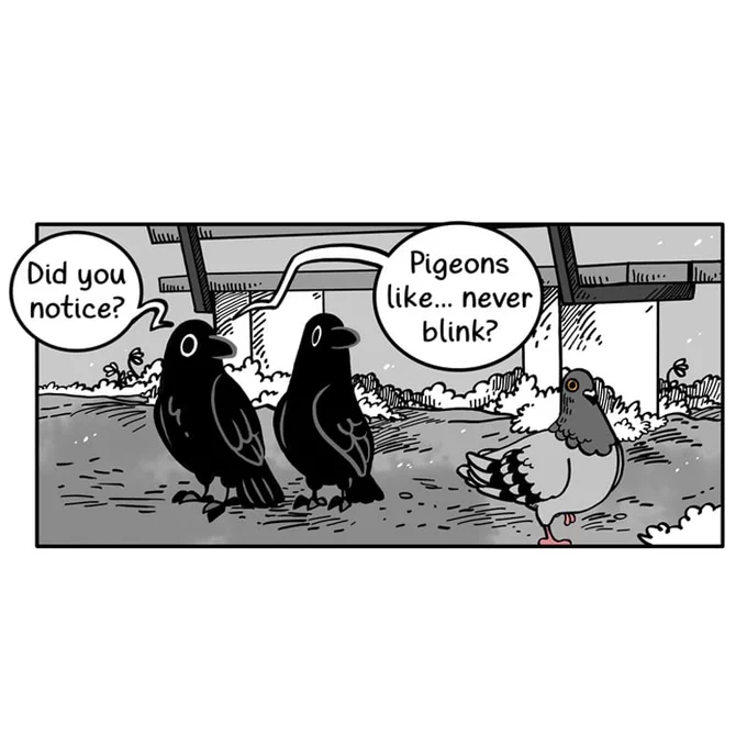 This is a joke between @mishacak3s and me that started because I drew this Crow Time episode and they followed suit by doodling an accurate pigeon angel. 