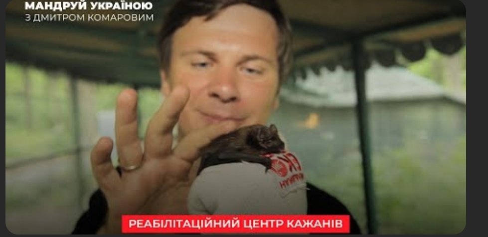 Я просто хочу достигнуть того же уровня счастья, что и Дмитрий Комаров, поглаживающий летучих мышей