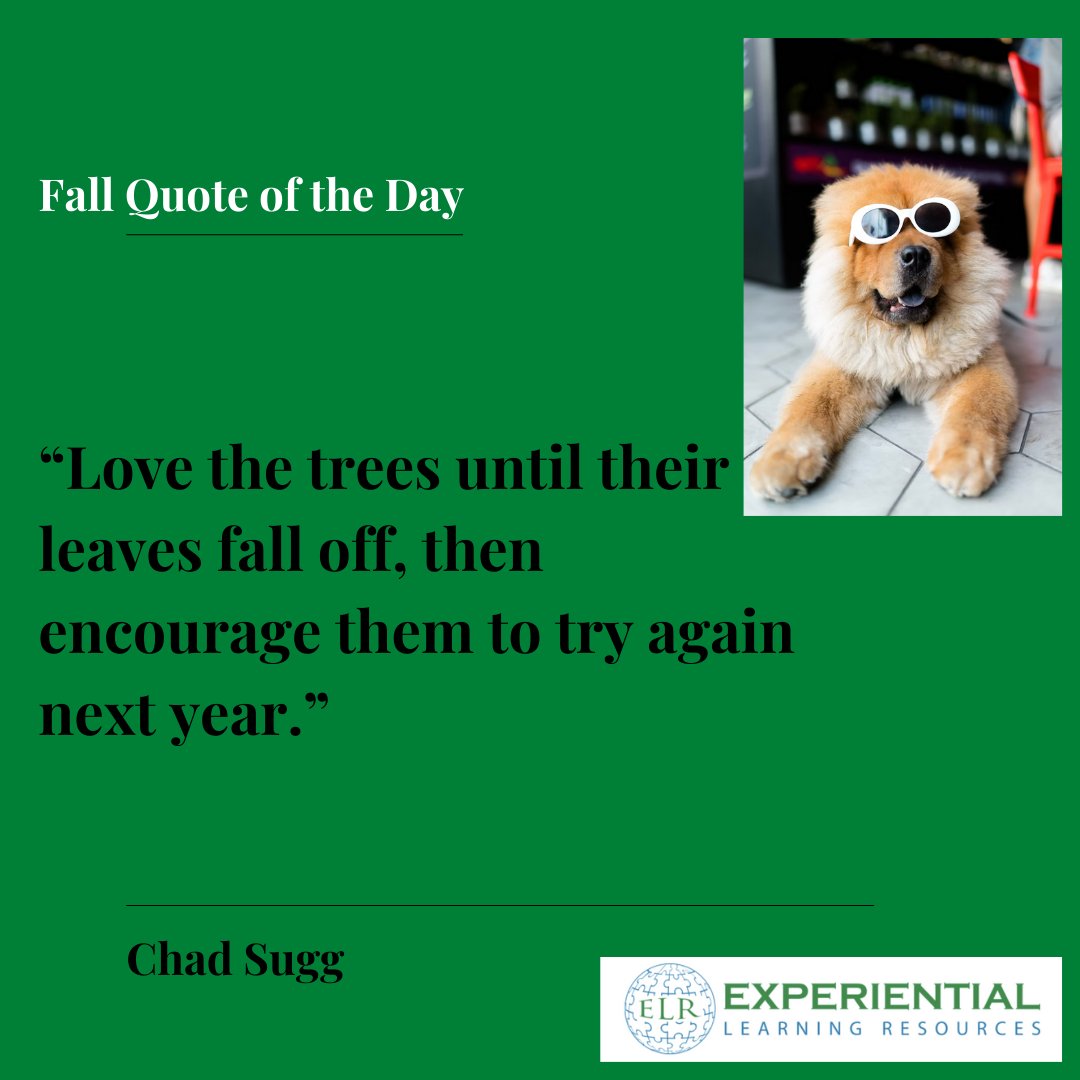 ExpLrnResources's tweet photo. It's already snowing in many places around the world. Those leaves are already hiding. 

Have you tried anything "fun" with the scattered leaves? Instead of leaves, is there someone between 13 and 19 years old who wants to see our new comedy scholarship? 

https://t.co/hASNef4sSn https://t.co/DeTuKIZ6mG
