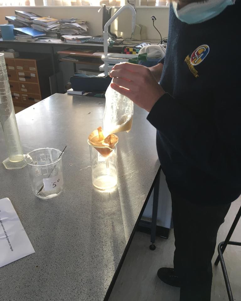 colaisteaindriu's tweet photo. 3rd year students busy extracting DNA from bananas in Science class today.
#genetics #juniorcyclescience #Biology https://t.co/ZkkqTjgN9g