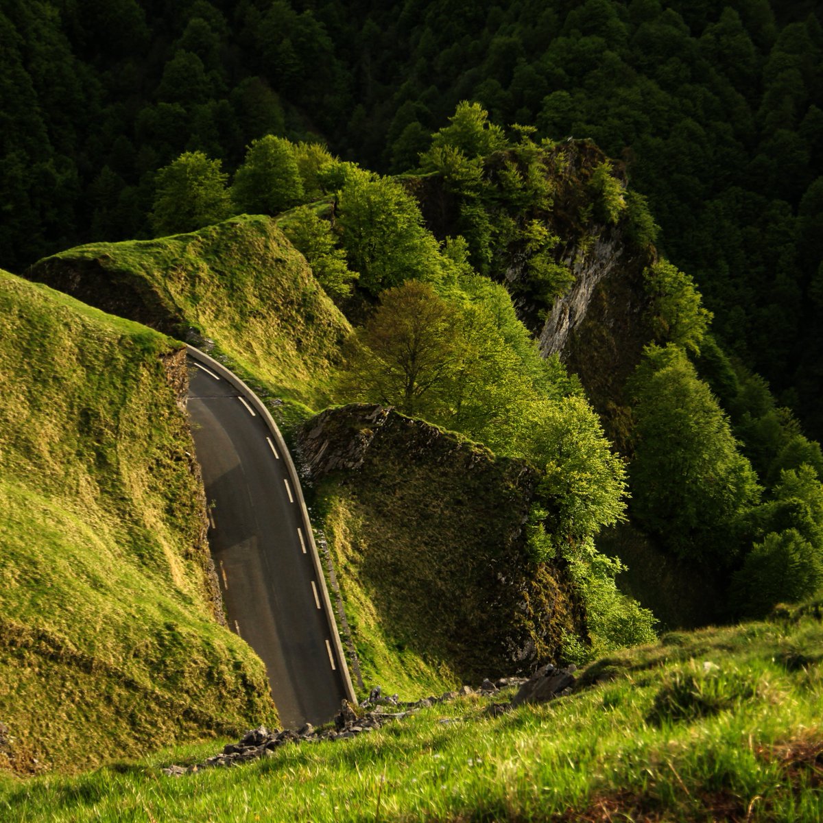 Le Cabanon tweet media