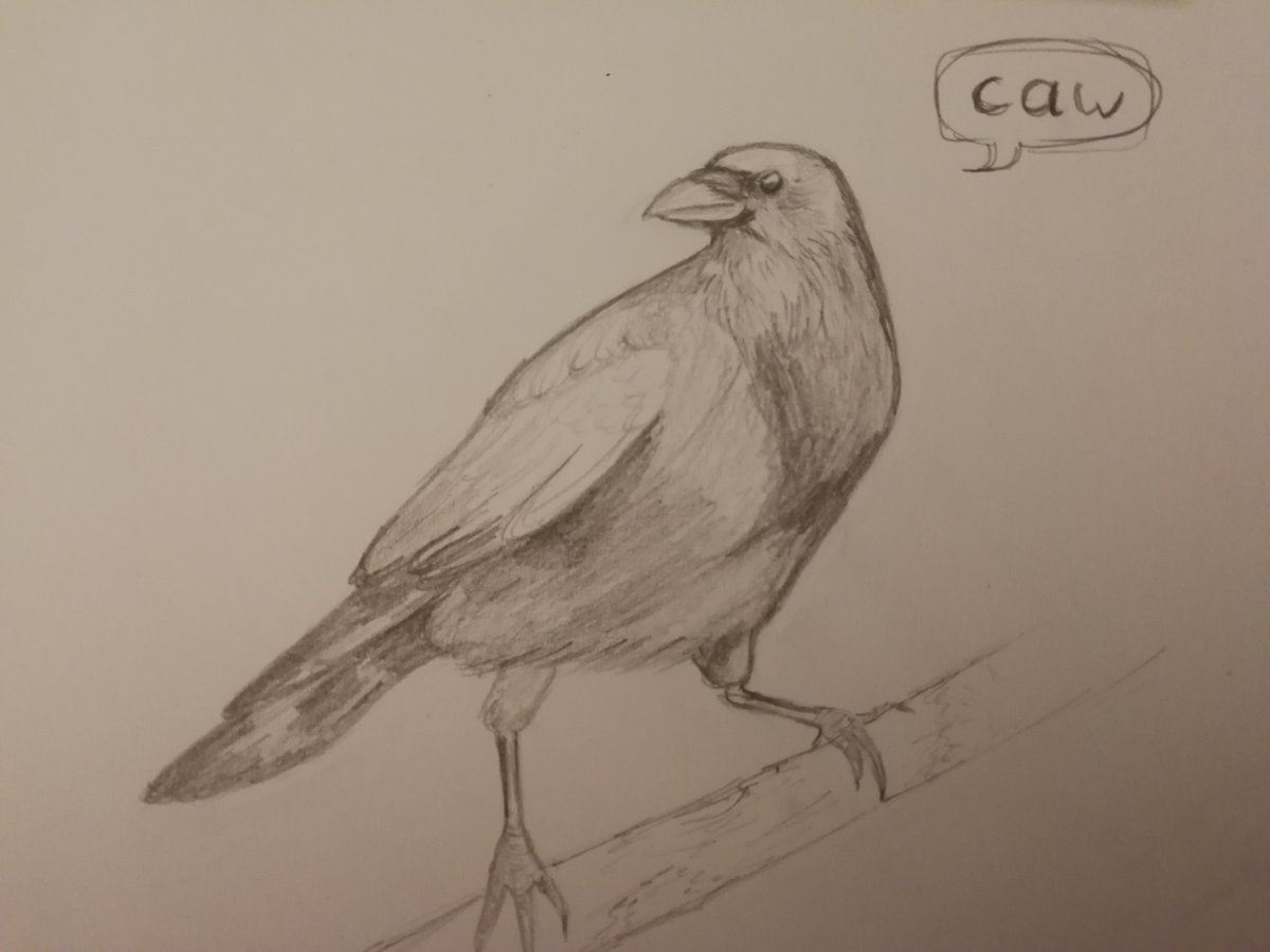 Ludmila Reimer tweet media