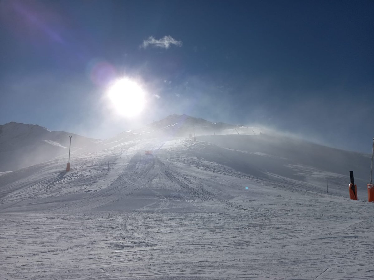 José Luis tweet media