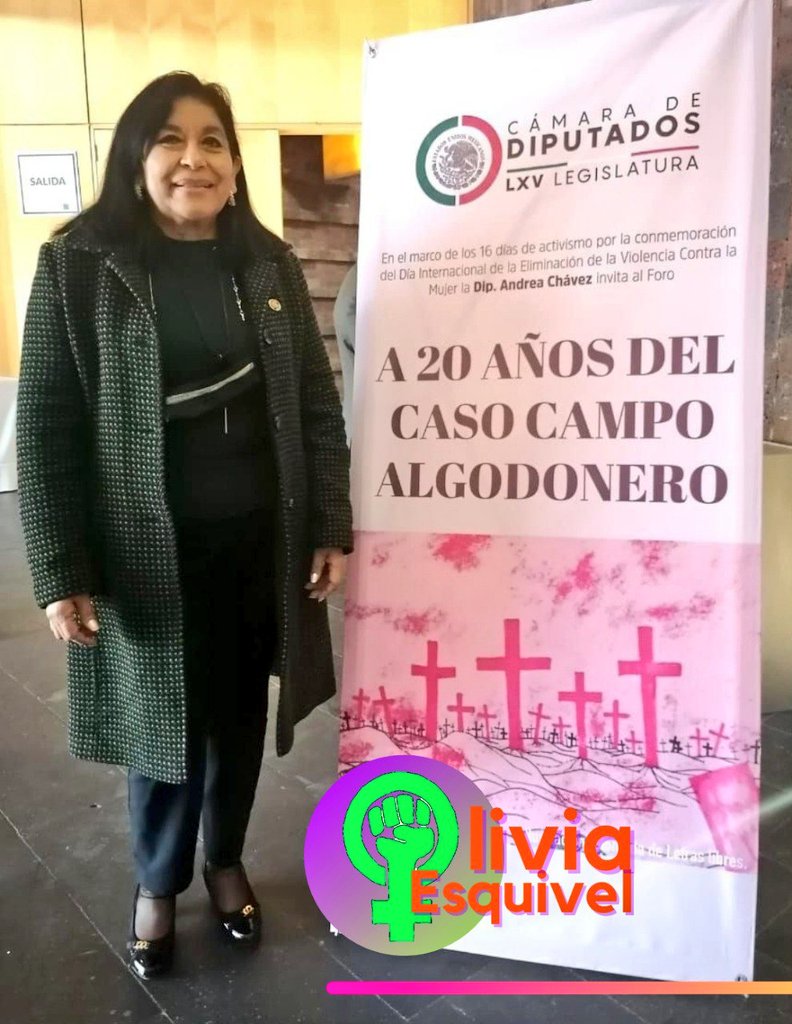 DiputadaOliviaE's tweet photo. El 6/nov/2001 la @CIDH condenó al Estado Mexicano como responsable en la desaparición y muerte de Claudia Ivette González, Esmeralda Herrera y Laura Berenice Ramos, cuyos cuerpos fueron hallados en un campo algodonero de #CdJuarez.
#20Años
#MuertasdeJuarez
#16DiasdeActivismo https://t.co/URnk2q5mYf