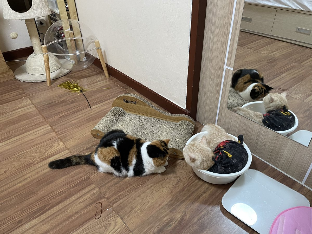 ทำอะไรอะ พี่เค้าหลับเฉยๆไม่ได้ม่อง