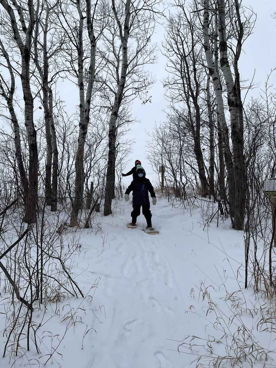 Grade 7/8/9 Outdoor Ed busted out the snowshoes today, fixed them up and took them for a test drive around the school yard. 🤞🏼that there is still enough snow on the ground for a trek next week! <a href="/SchoolMacdonald/">Macdonald School</a> <a href="/GSSD204/">Good Spirit SD</a>