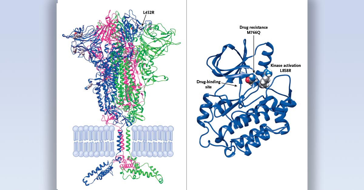 The application of AI and machine learning to the prediction of three-dimensional protein structures resulted in an explosion of knowledge that augurs well for accelerating the identification and targeting of “druggable” proteins. nej.md/3lslZA9
