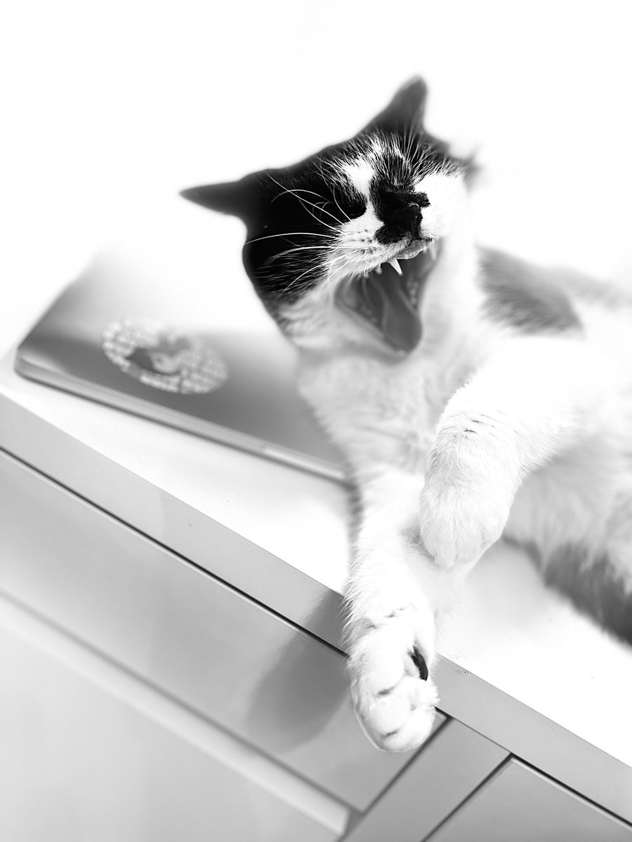 Perfectly timed to give me nightmares 😂