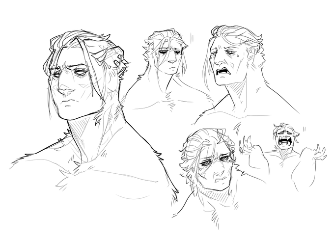 Tired bear faces 