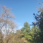 Image for the Tweet beginning: Blue skies in Portland! #printchat