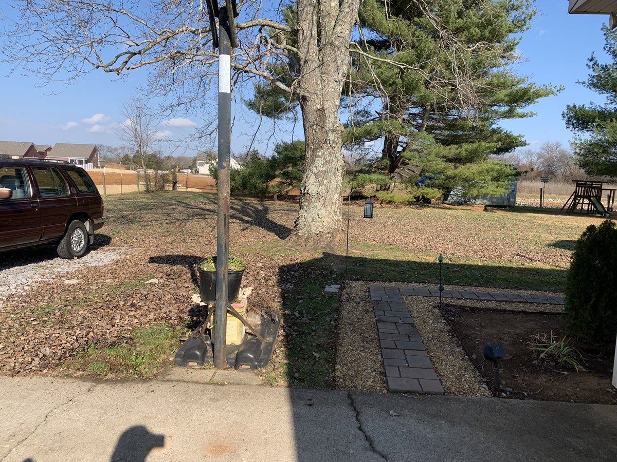 Wyatt Mclemore tweet media