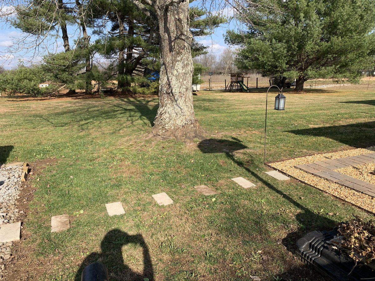 Wyatt Mclemore tweet media