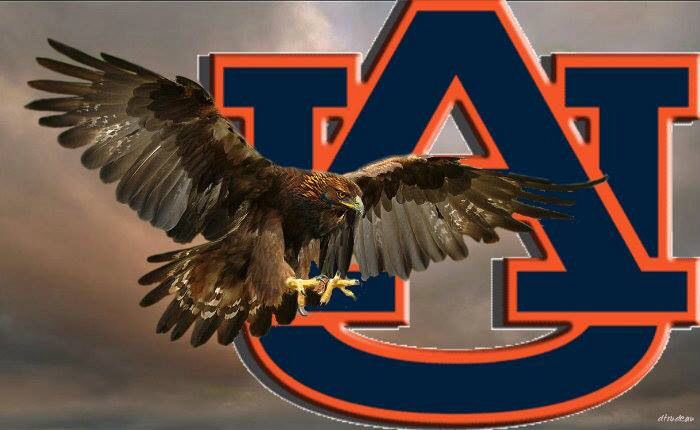 terrenceisaacjr's tweet photo. Thank you to Auburn for offering a PWO. I’m truly grateful. God is still working. 🦅 @AuburnFootball @BradBedell @TerrenceIsaac1 @thewarrapport @AuburnLiveOn3 @ColePinkston @theauburnwire @AUTigersTalk @JLeeAULive https://t.co/saohW7b5kr