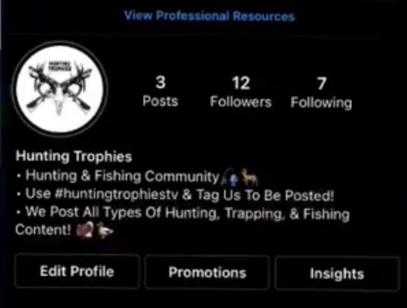 xelfys's tweet image. Where it started vs where its going