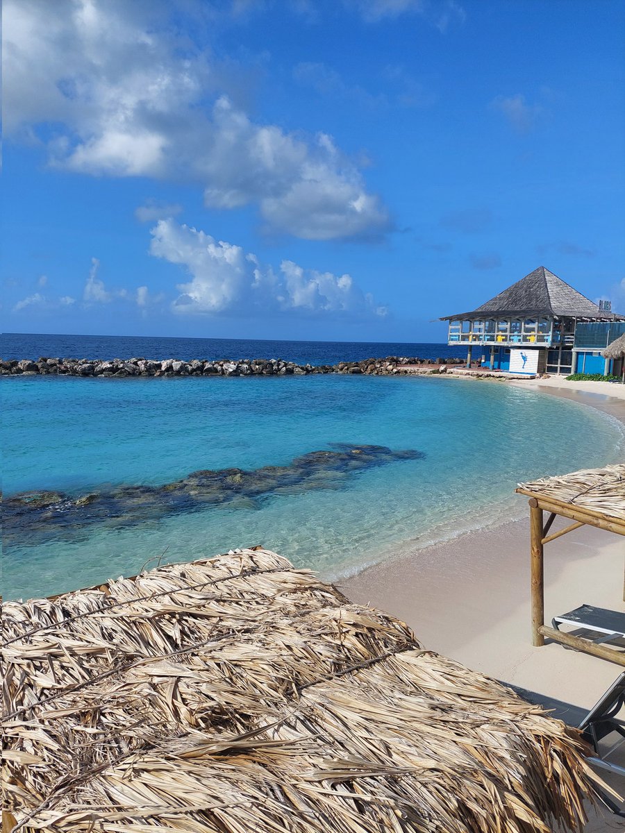 fredvanreenen's tweet photo. @JandeHoop @SheratonAMS Het is fantastisch 🍹😎🍹 https://t.co/KCoA5mOxpx