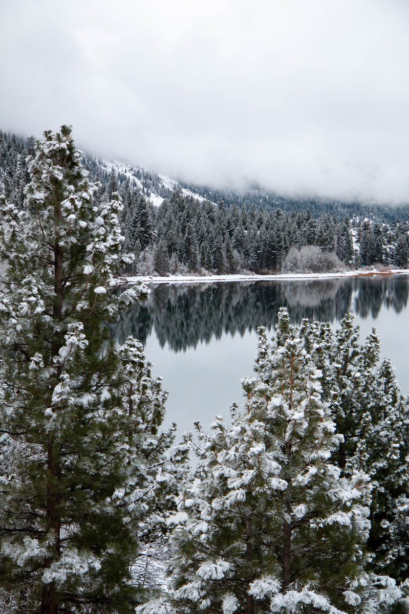 Mono County Tourism tweet media