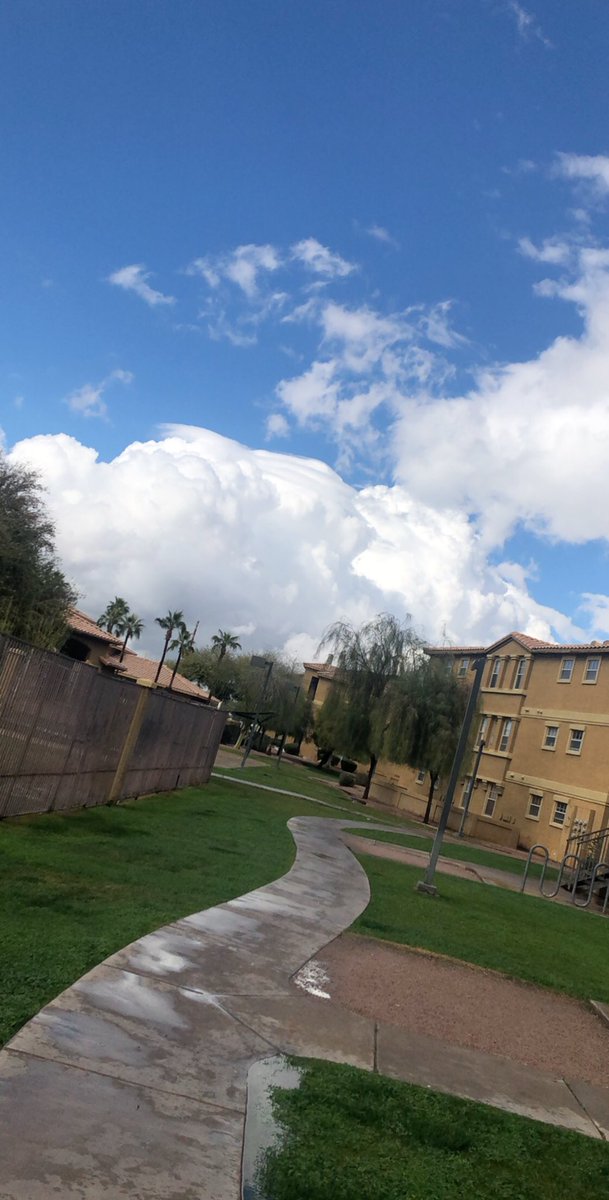 ✨ابراهيم الرجيب ✨ tweet media