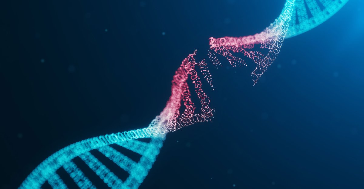 CaraSantaMaria's tweet photo. Potential new gene editing tools uncovered. π§¬βοΈ
#GeneEditingTools #CASTs #BioTechnology #Genes #DNA
https://t.co/xTTpIEaxzT @physorg_com https://t.co/84TeNLu8MY