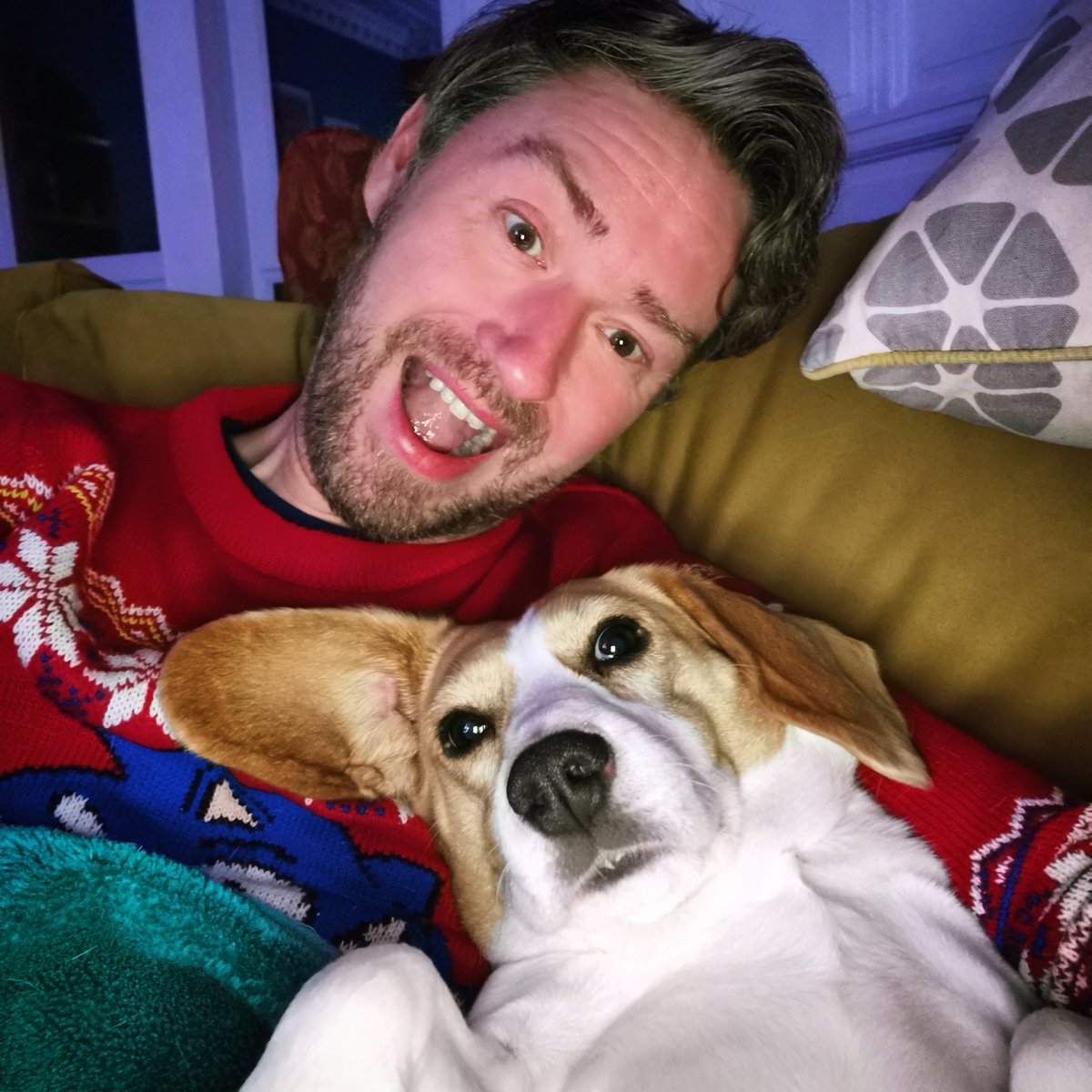tiggtag's tweet image. Beagles love festive sofa snuggles - or any kind of snuggles!

Me and my girl 🐕

#sofasnuggles #beagle #dudeswithdogs #cuddle #christmasjumper #beaglefacts